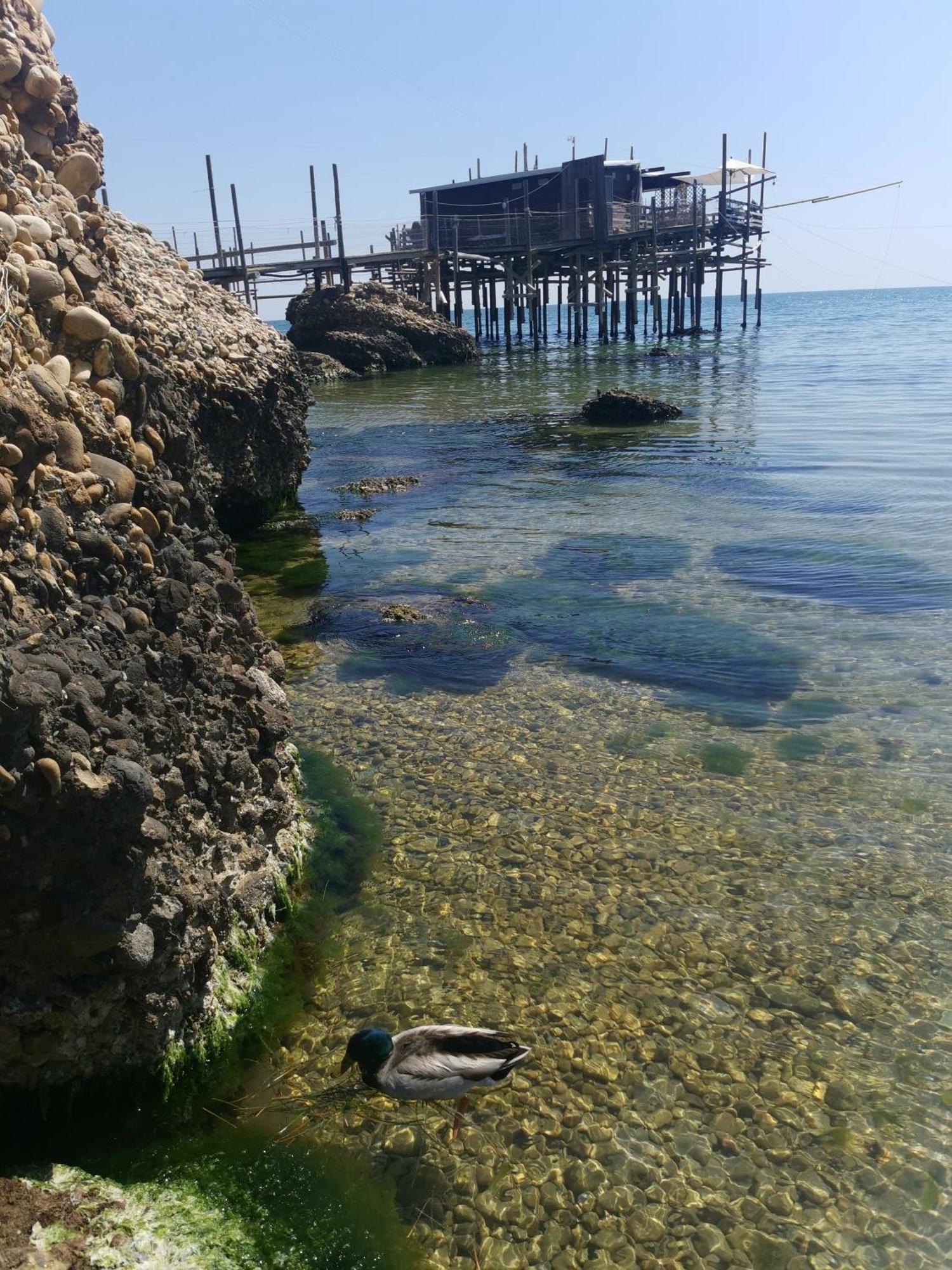Casa La Noce Daire Vasto Dış mekan fotoğraf